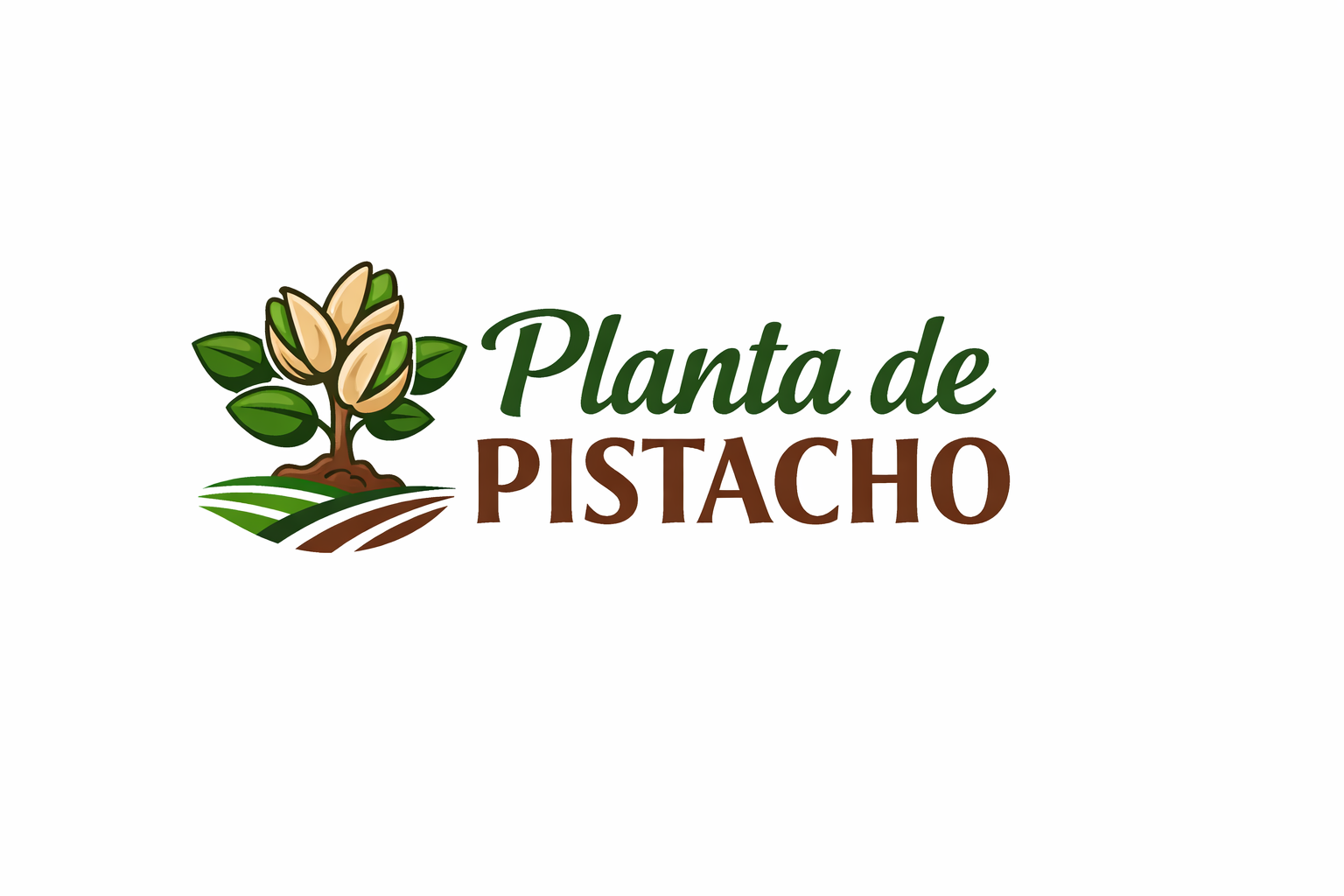 Planta de Pistacho